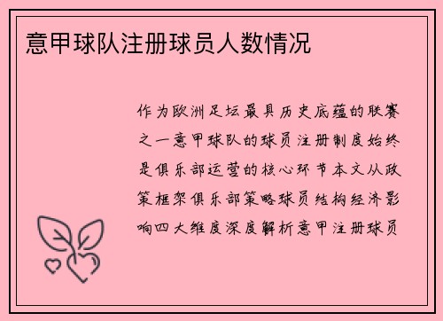意甲球队注册球员人数情况